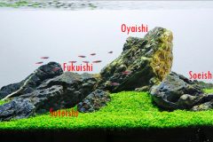 Aquair ID - Mengenal Aquascape Gaya Iwagumi