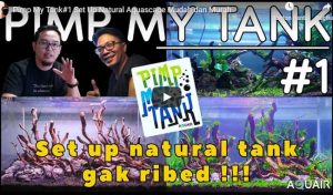 Aquair Indonesia - Pimp My Tank 1 Aquair #1