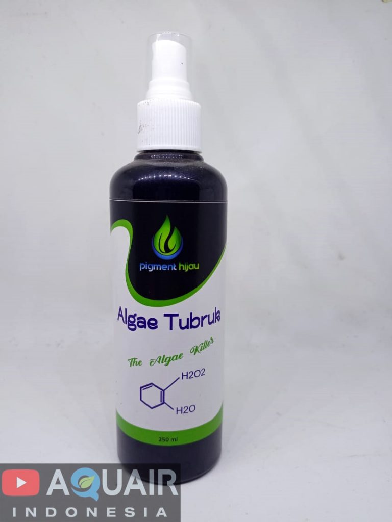 Aquair Indonesia Algae Tubruk Pigment Hijau