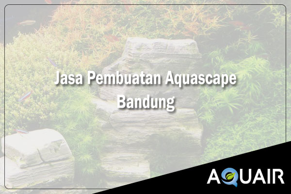 Layanan Pembuatan Aquascape Bandung AQUAIR