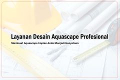 Jasa Design Aquascape Profesional