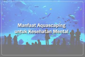 Manfaat Aquascape untuk Kesehatan Mental