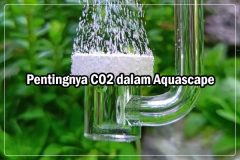 CO2 dalam Aquascape