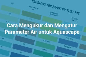 Cara Mengukur dan Mengatur Parameter Air untuk Aquascape