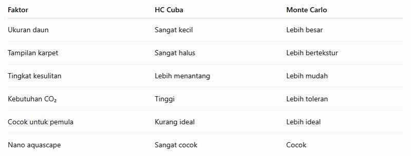 Tanaman Karpet HC Cuba
