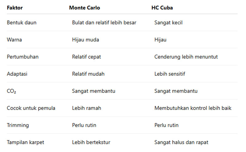 Perbedaan Monte Carlo vs HC Cuba