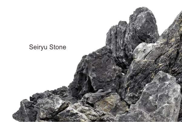 Hardscape Black Seiryu Stone