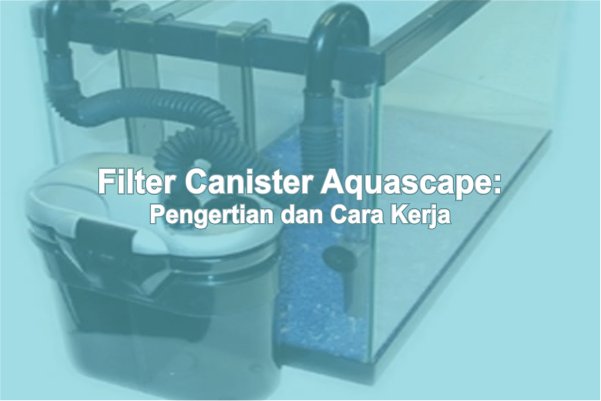 Filter Canister dalam Aquascape