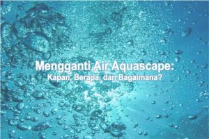 Mengganti Air Akuarium Aquascape