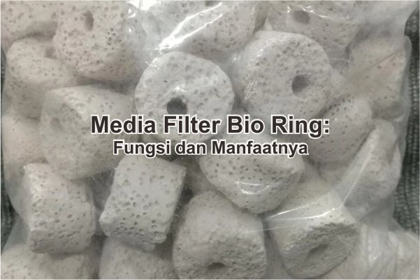 Media Filter Bio Ring