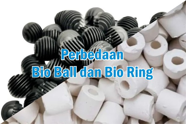 Bio Ball dan Bio Ring