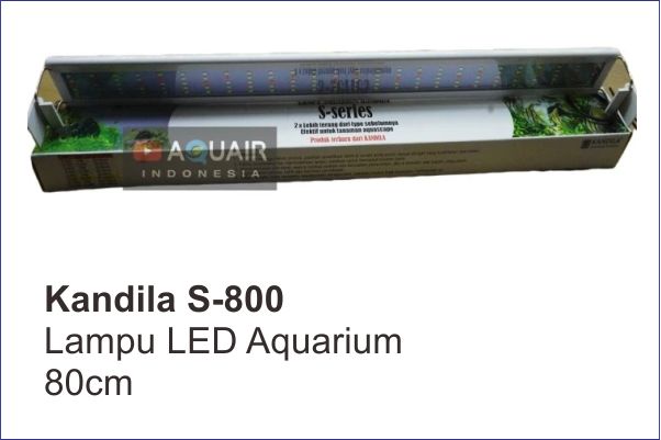 LED Kandila S-800