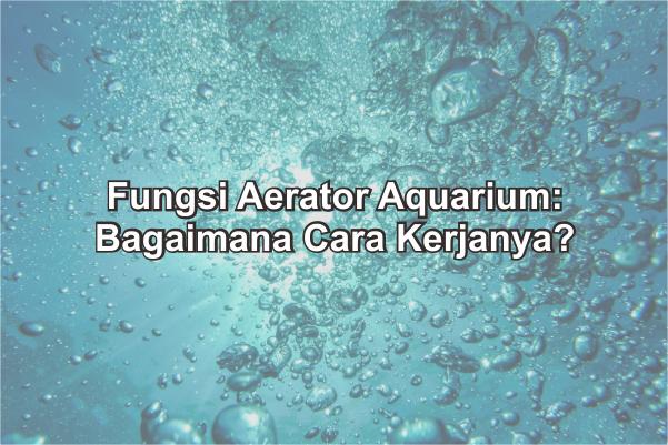 Cara Kerja Aerator Aquarium