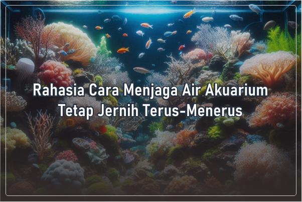 tips menjaga aquarium tetap jernih