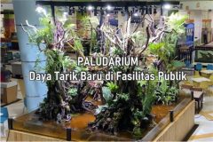 Keindahan Paludarium dalam Mall