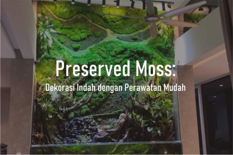 Preserved Moss Dekorasi Indah Dengan Perawatan Mudah Aquair Indonesia