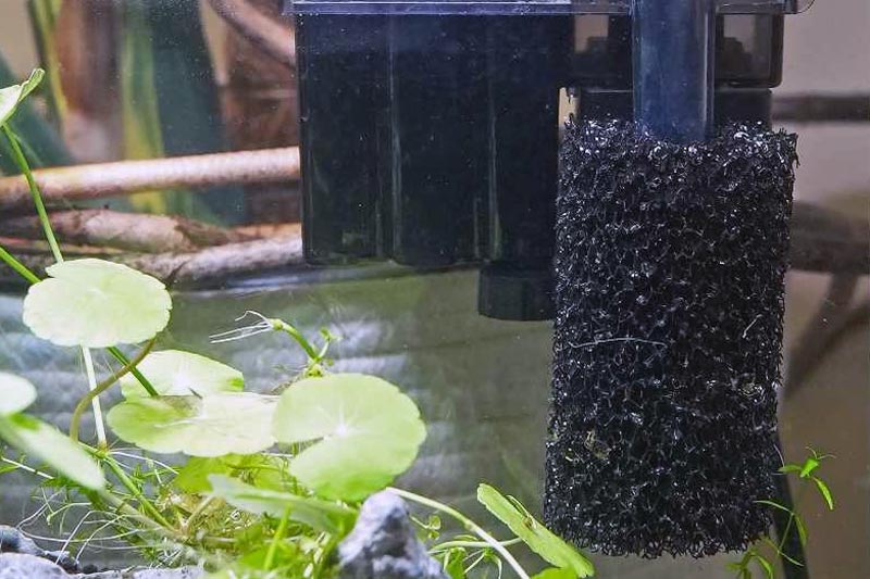 Filtrasi Mekanis Penyaring Fisik