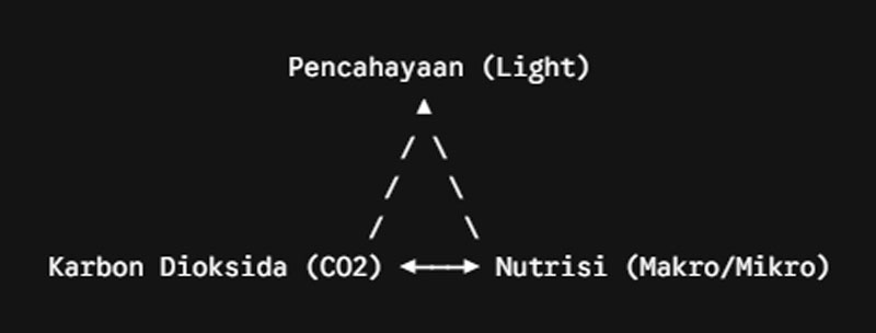 Aquascape Balance Triangle