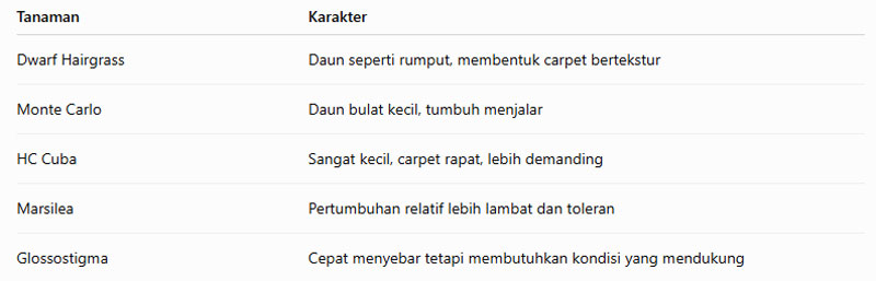 Dwarf Hairgrass vs Tanaman Carpet Lain