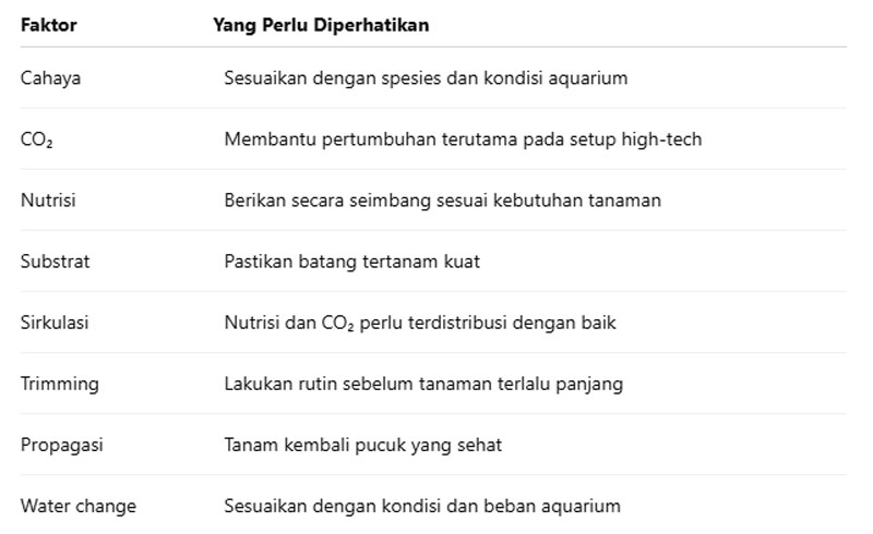 Rekomendasi Dasar Perawatan Stem Plant