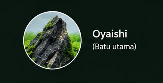 Oyaishi Iwagumi