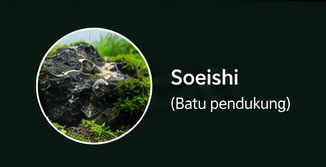 Soeishi Iwagumi