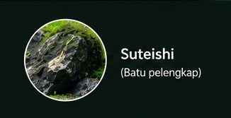 Suteishi Iwagumi
